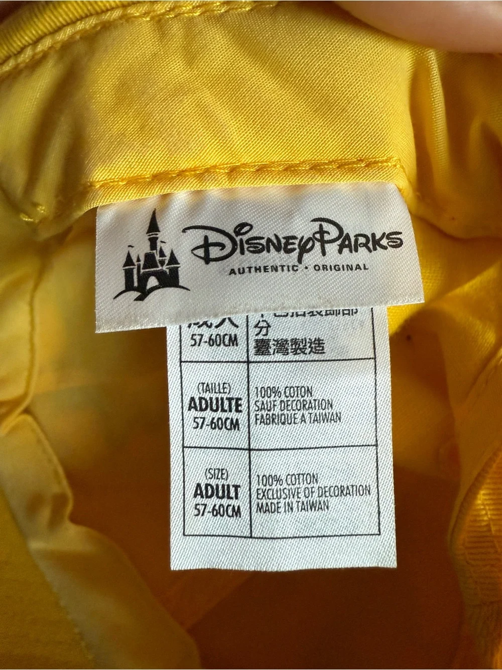 Disney Wilderness Explorer Hat